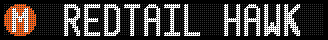Generated MTA Display with message redtail hawk sited near your location
